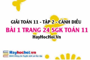 Bài 1 trang 24 Toán 11 tập 2 Cánh Diều